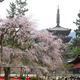 Illustration for article titled Bad Tourists Lead to Photography Ban at Japanese Temples